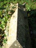 image of grave number 723691